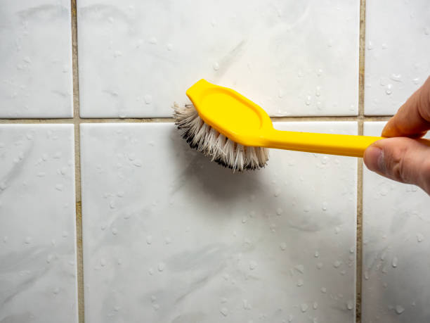 Best Mold Removal Specialists  in Roaring Spring, PA